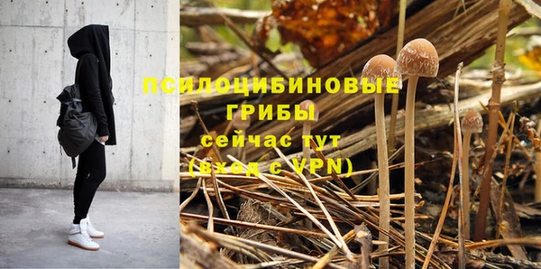 ПСИЛОЦИБИНОВЫЕ ГРИБЫ Алексеевка