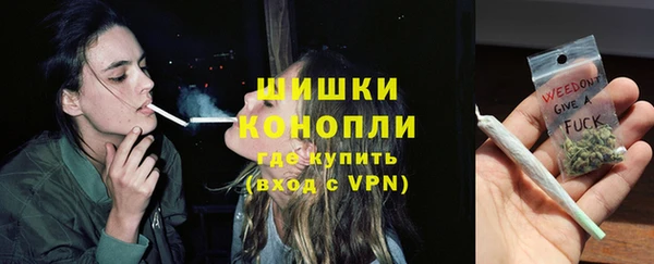ПСИЛОЦИБИНОВЫЕ ГРИБЫ Алексеевка