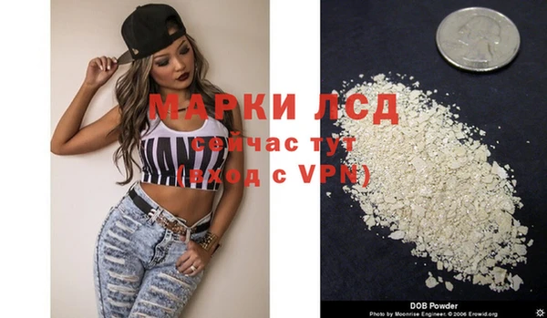 стаф Алексин