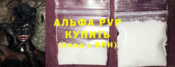 стаф Алексин