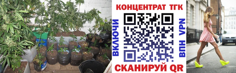 блэк спрут ссылки  купить закладку  Харовск  ТГК жижа 