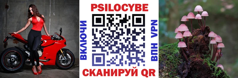 МЕГА Харовск Псилоцибиновые грибы Magic Shrooms